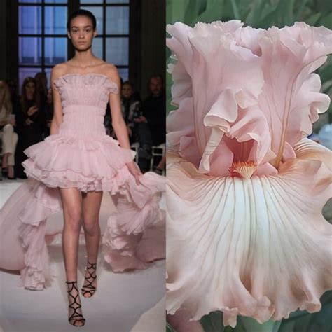 fashion inspired by flowers